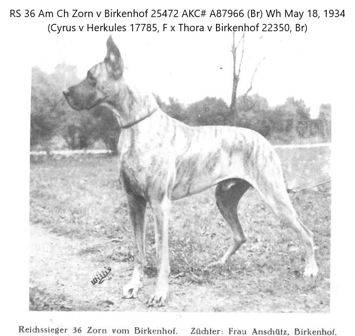 Zorn v Birkenhof